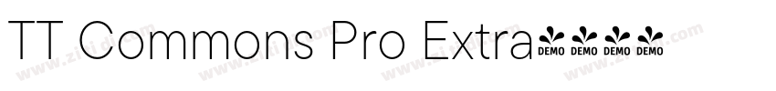 TT Commons Pro Extra字体转换